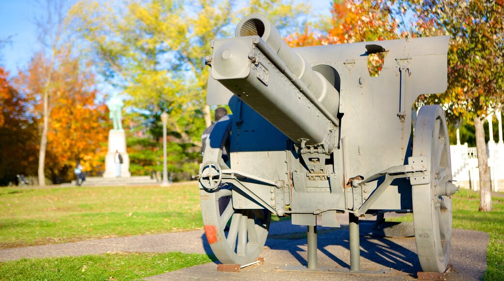 Galena showing heritage elements, a park and military items