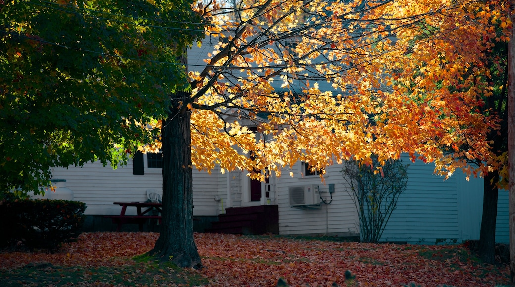 Conway showing autumn colours