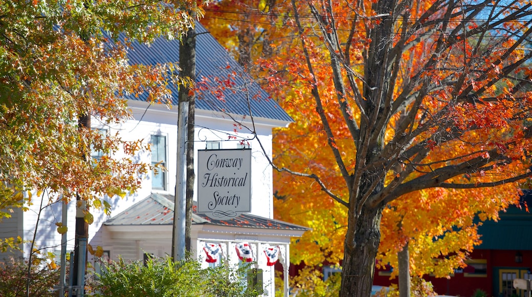 Conway showing fall colors