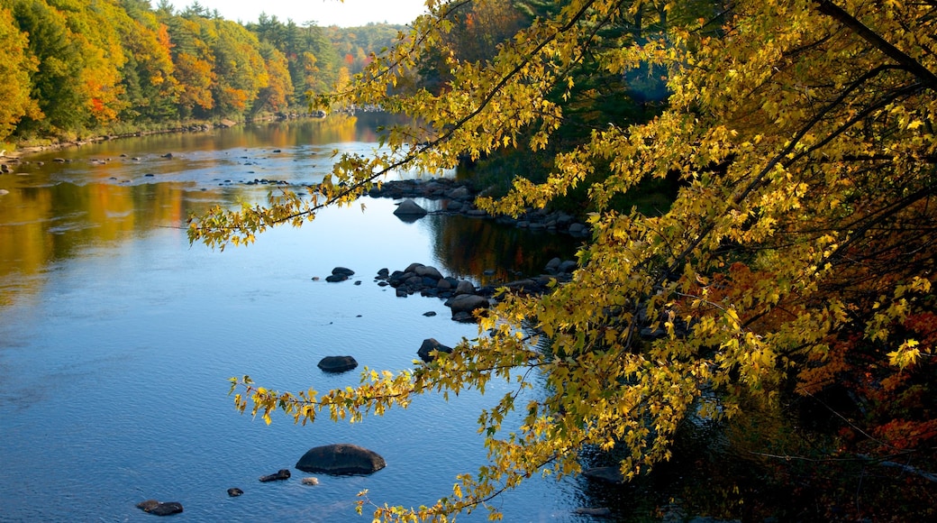 Conway toont herfstbladeren, een park en een rivier of beek