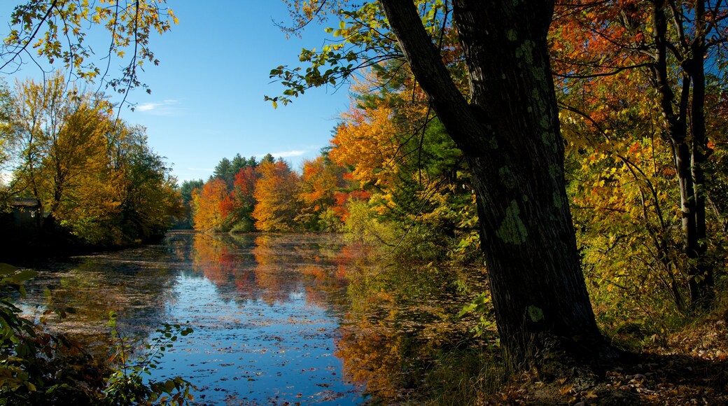 Conway das einen Fluss oder Bach, Herbstblätter und Garten