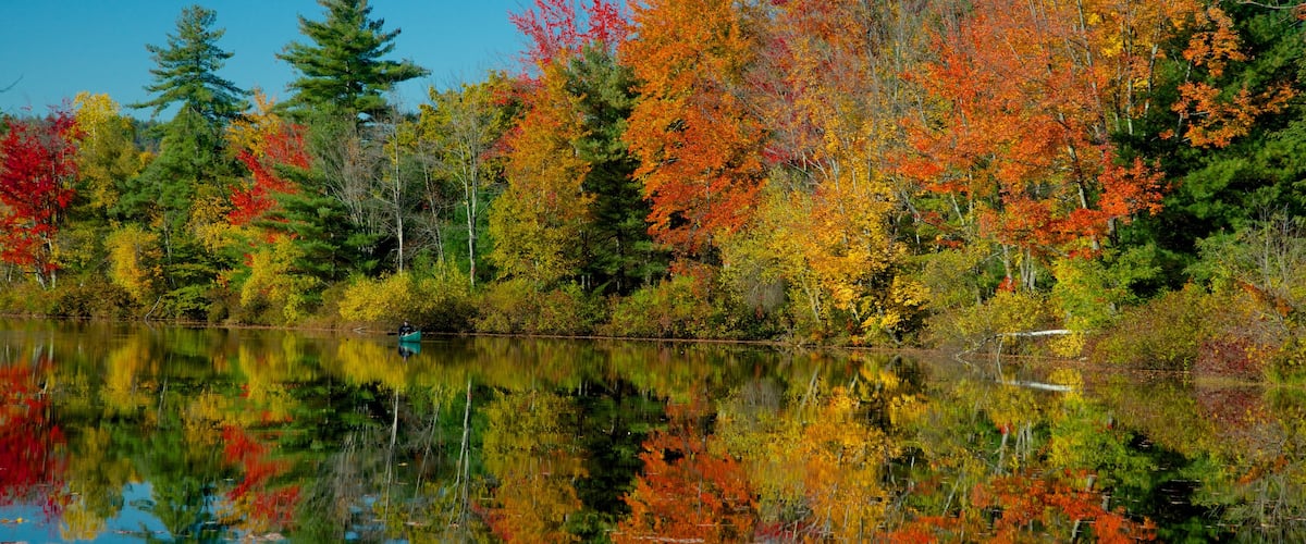 Conway featuring autumn leaves, a river or creek and a park