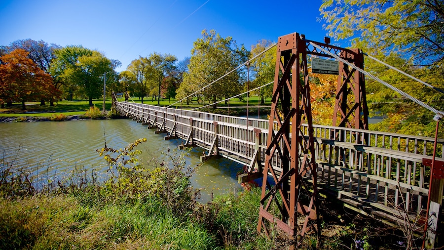 Illinois que incluye un puente, un río o arroyo y un jardín