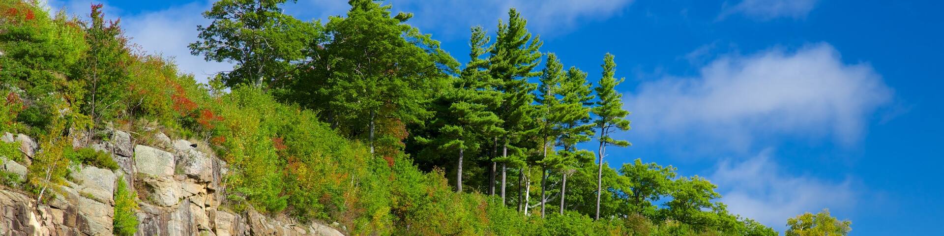 Lake George which includes tranquil scenes