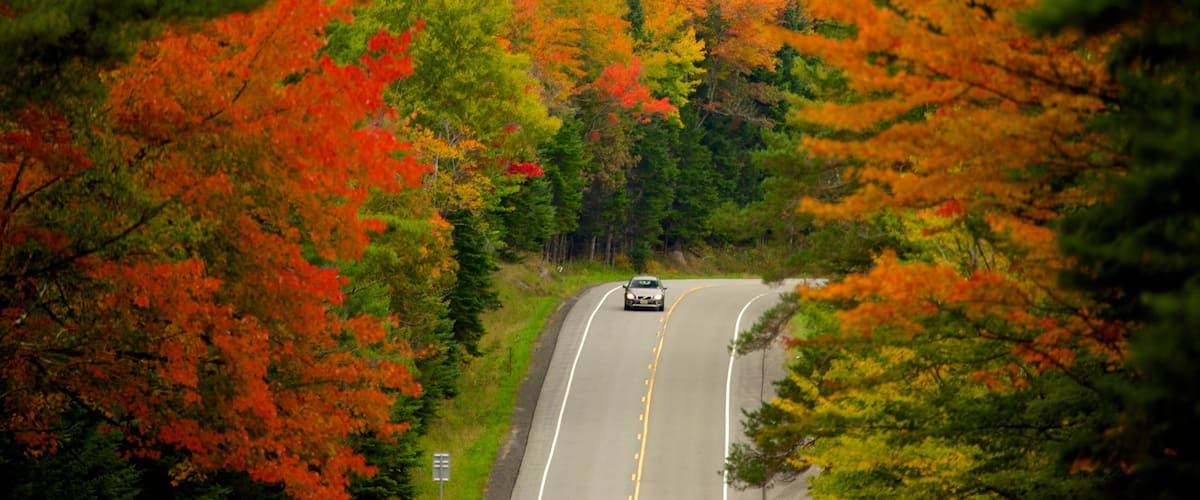 Lake George que incluye turismo, bosques y hojas de otoño