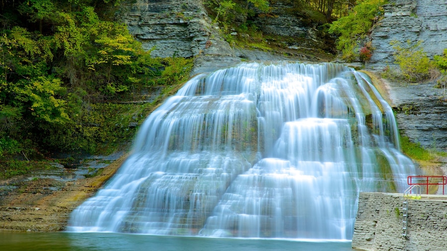 Robert H. Treman State Park