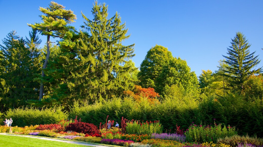 Hudson Valley que incluye un parque