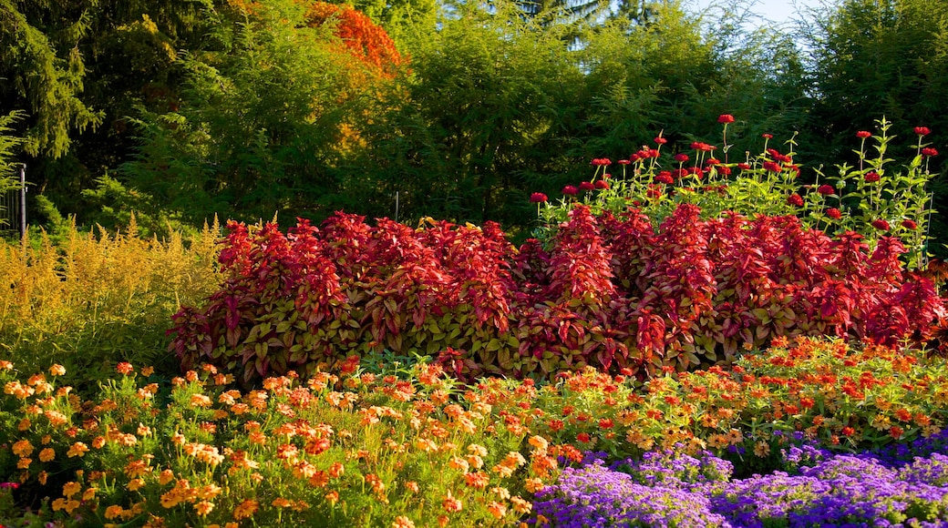 Franklin D. Roosevelt Presidential Library and Museum showing flowers and a park