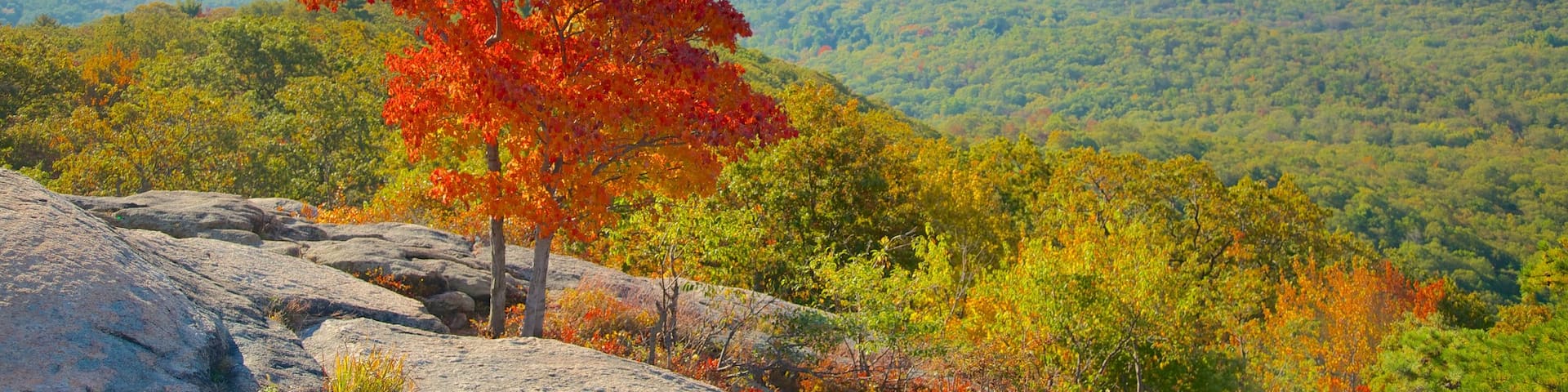 Bear Mountain State Park showing autumn leaves and tranquil scenes