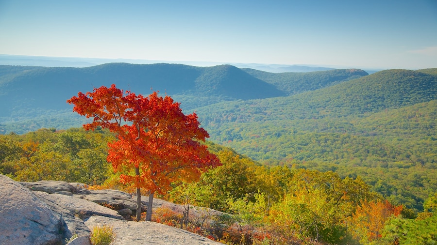 Bear Mountain State Park showing autumn leaves and tranquil scenes