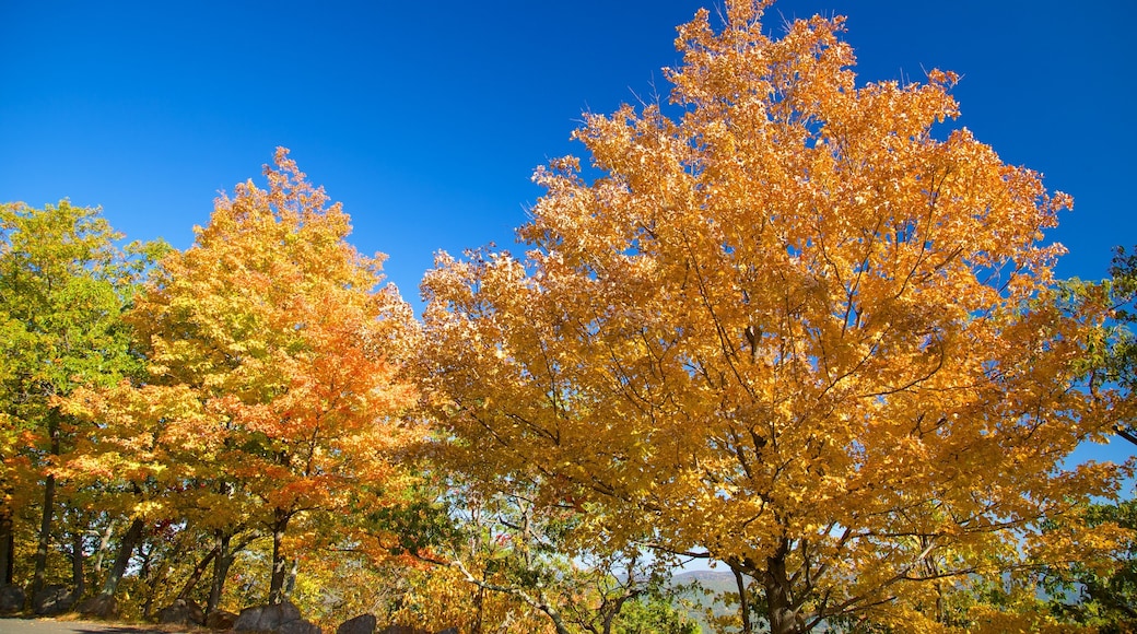 สวนสาธารณะ Bear Mountain แสดง สีสันฤดูใบไม้ร่วง