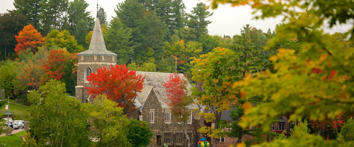 Lake Placid showing forests, a house and fall colors