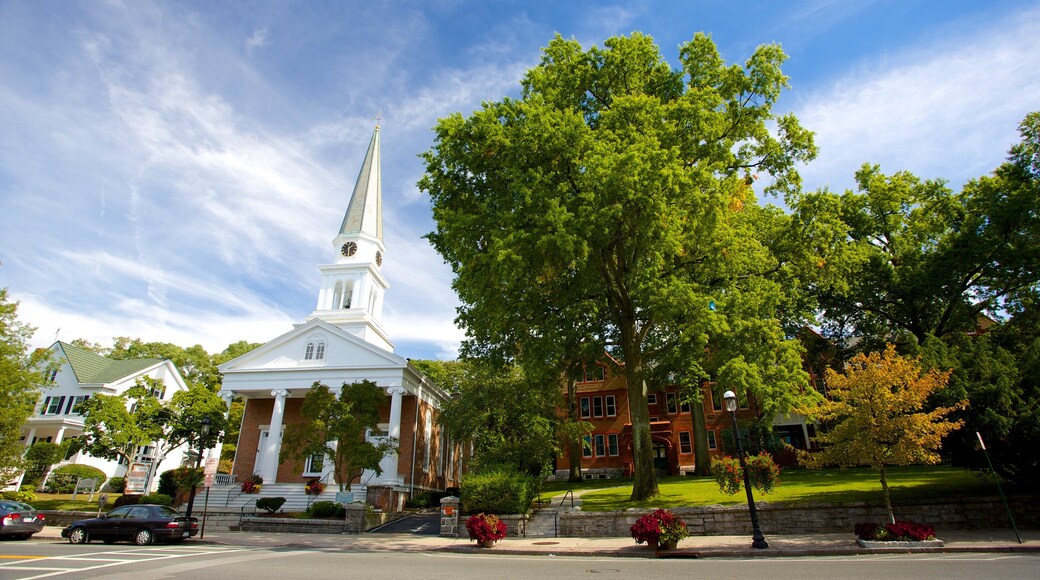 Tarrytown mostrando jardín