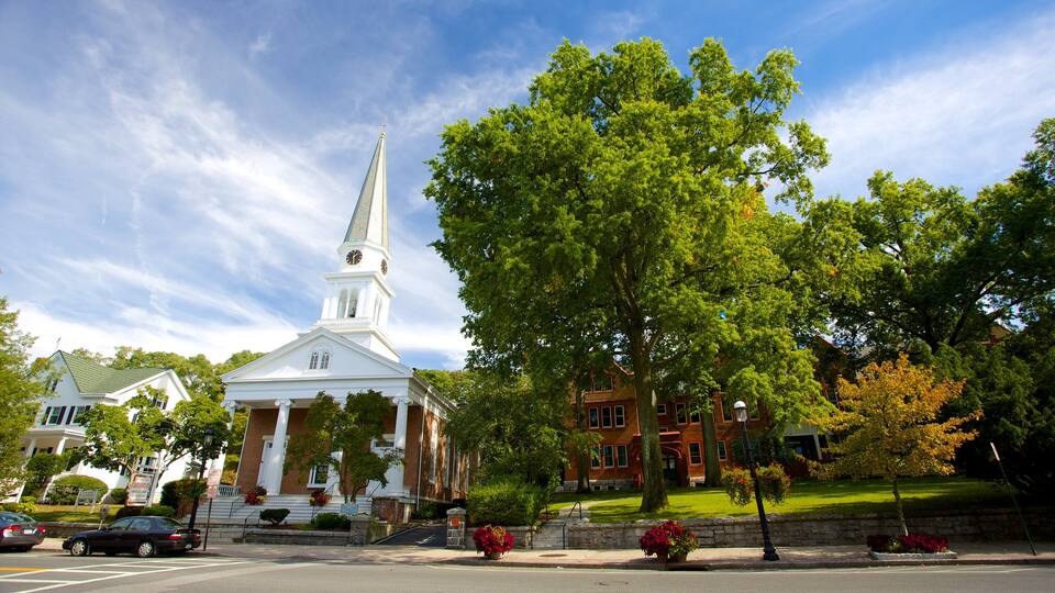 Tarrytown mostrando un jardín