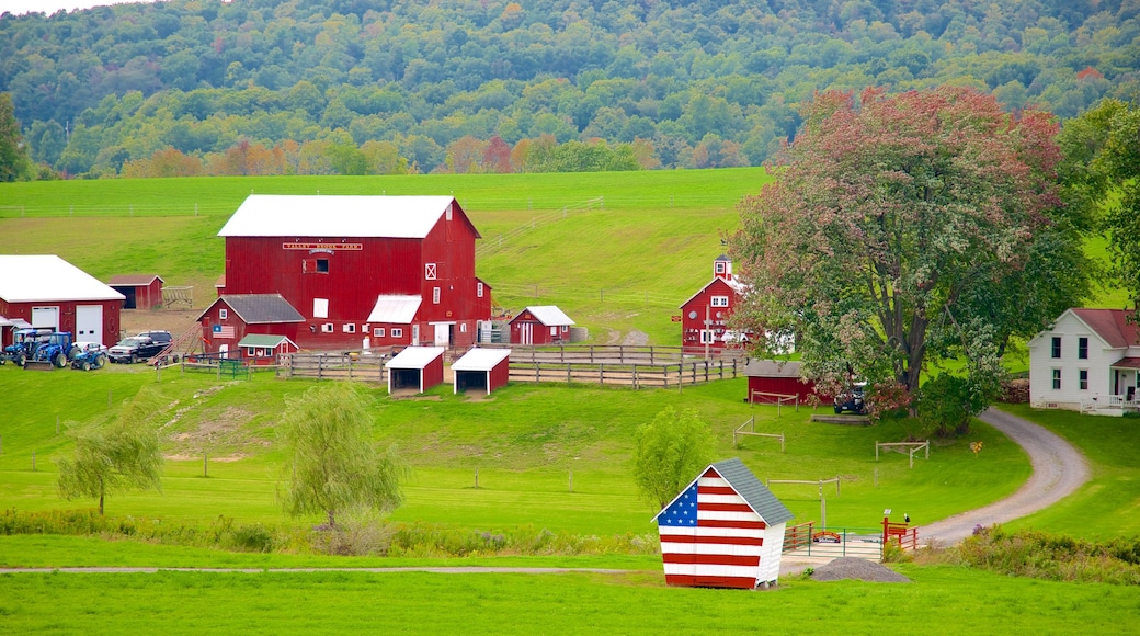 Cooperstown que incluye tierras de cultivo