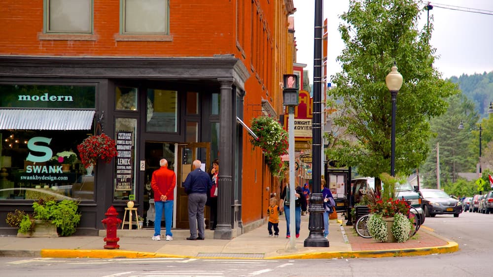 Hamilton showing a city