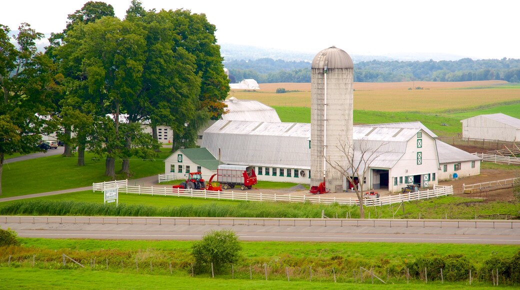 Hamilton which includes farmland