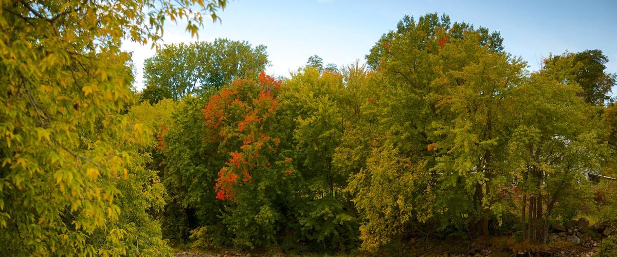 Keeseville