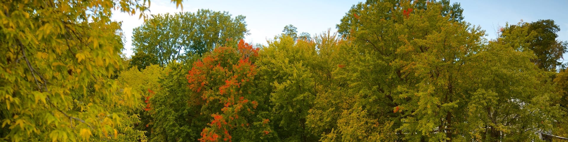Keeseville qui includes rivière ou ruisseau et scènes tranquilles