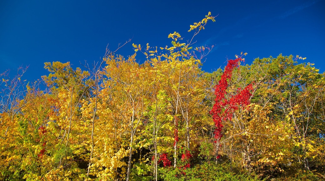 Bear Mountain State Park inclusief herfstkleuren en vredige uitzichten