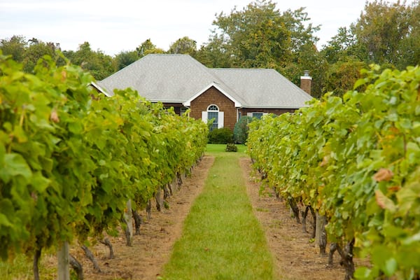 Long Island welches beinhaltet Haus