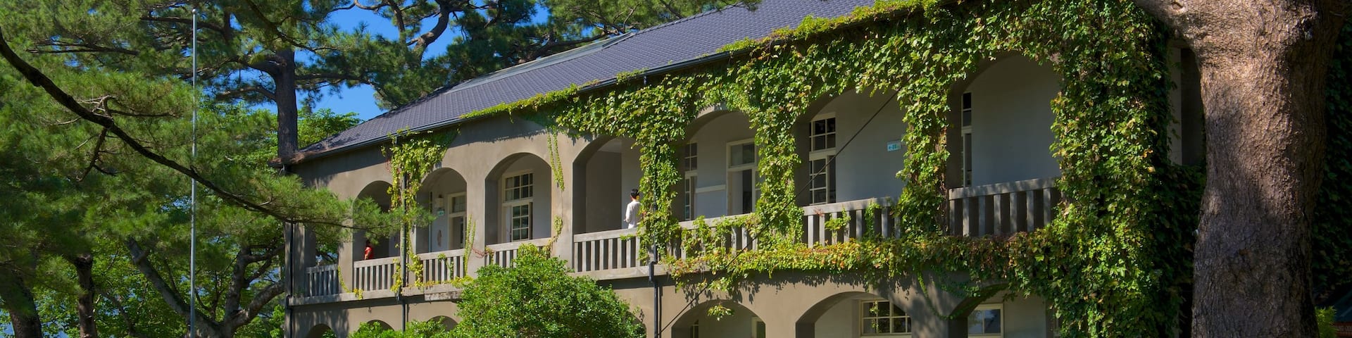 Jardín de pinos que incluye un jardín y una casa