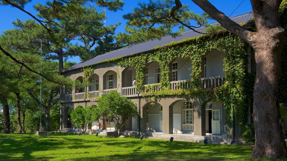Jardín de pinos ofreciendo un jardín y una casa