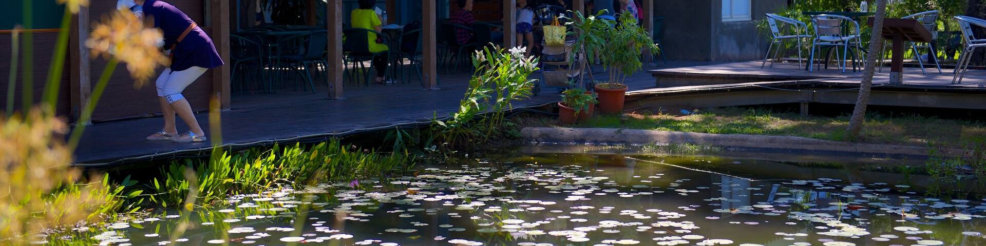 Pine Garden das einen Teich