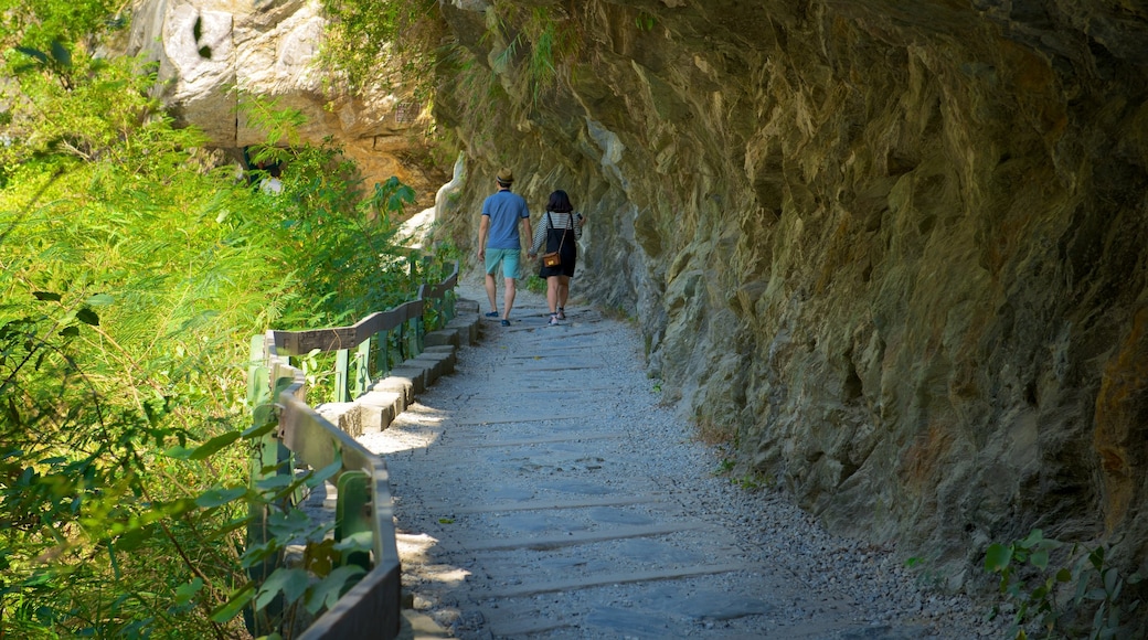 Taroko National Park showing tranquil scenes and hiking or walking