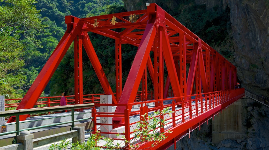 Taroko National Park showing tranquil scenes and a bridge