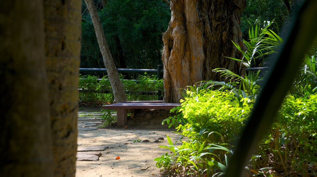 Hsinchu Botanical Garden showing a park