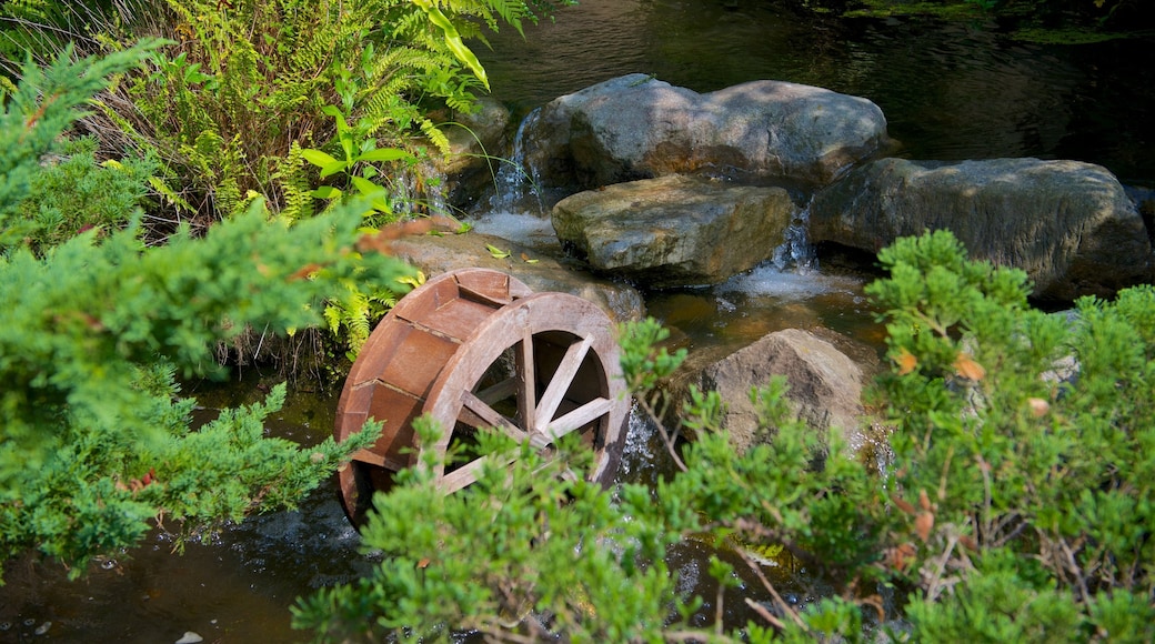 Jardim BotĂąnico de Hsinchu caracterizando um jardim e um lago