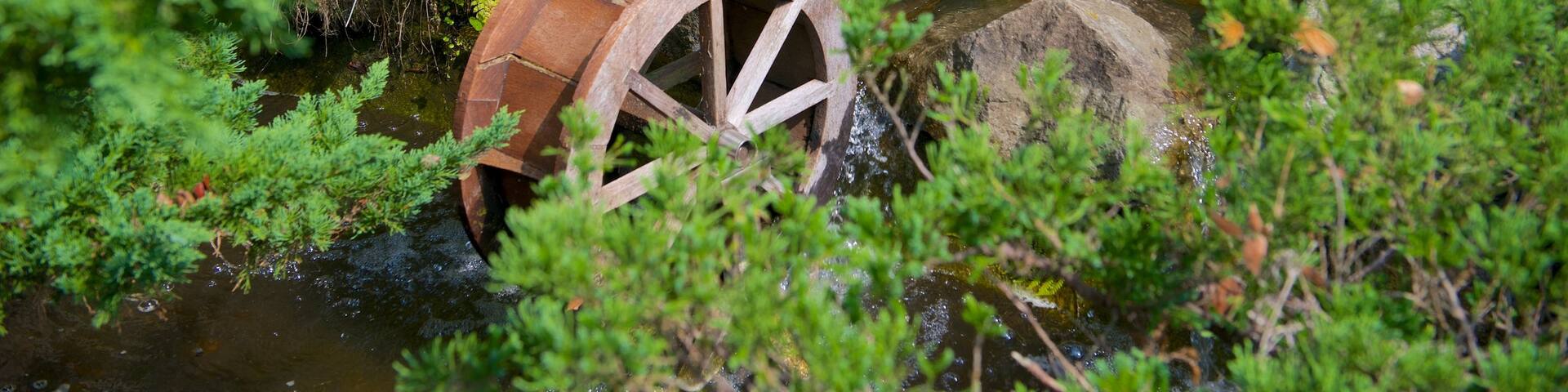 Hsinchu Botanical Garden featuring a garden and a pond