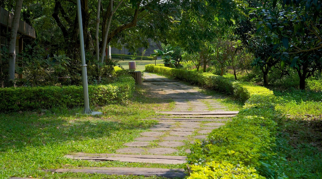 Hsinchu Botanical Garden featuring a park