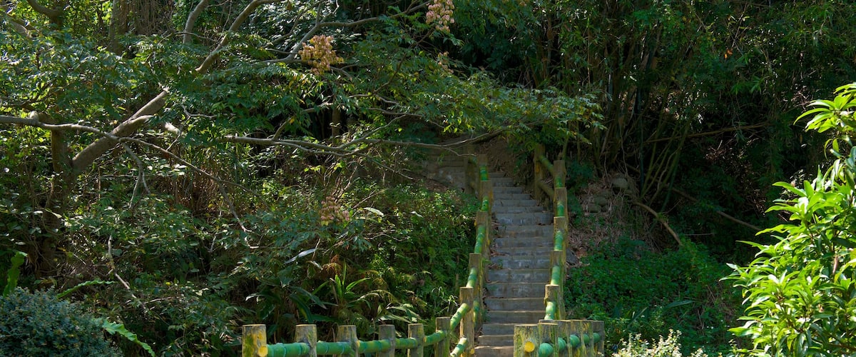 Hsinchu Botanical Garden featuring a garden