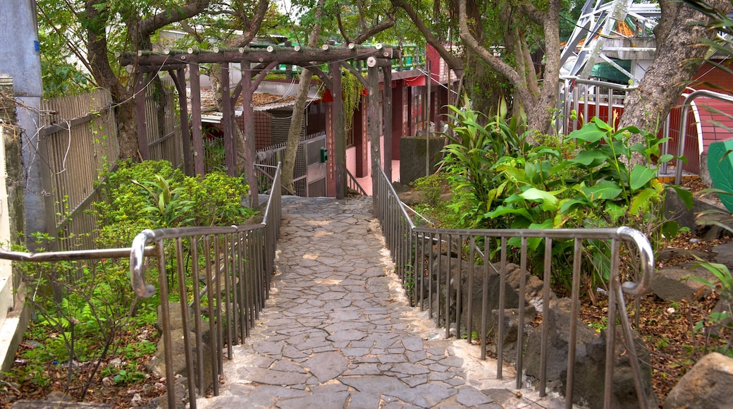 Zhongzheng Park showing a garden