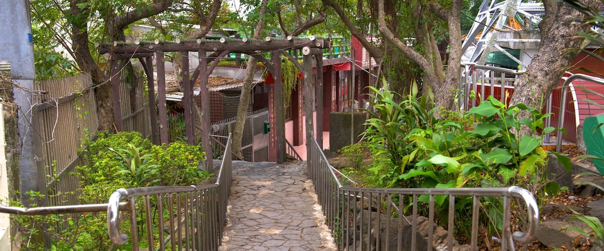 Zhongzheng Park featuring a garden