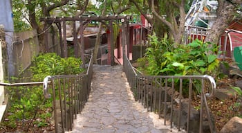 Parque de Zhongzheng que inclui um jardim