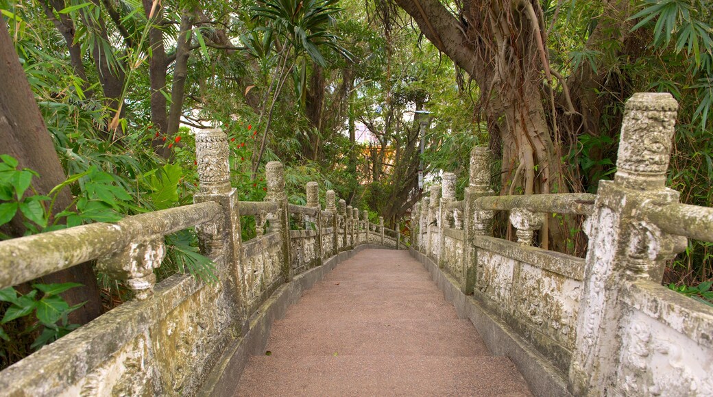 Zhongzheng Park which includes a garden