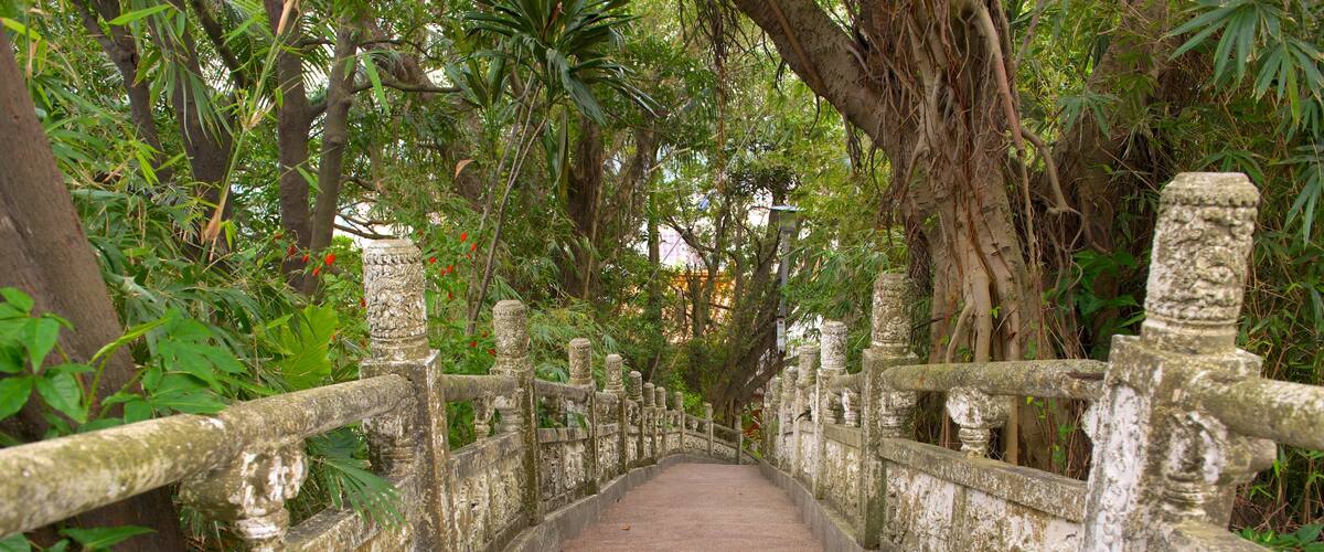 Parque de Zhongzheng mostrando jardín