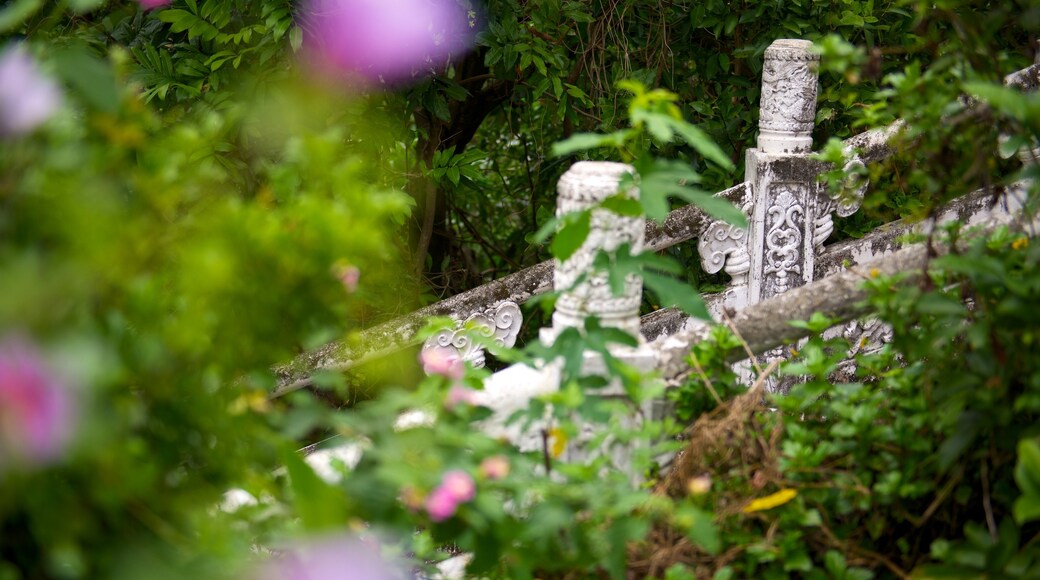 Parque de Zhongzheng ofreciendo jardín