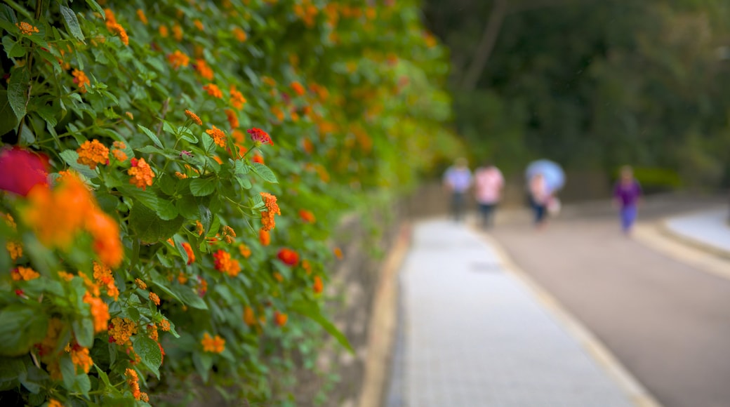 慈湖及慈湖陵寢 设有 花園