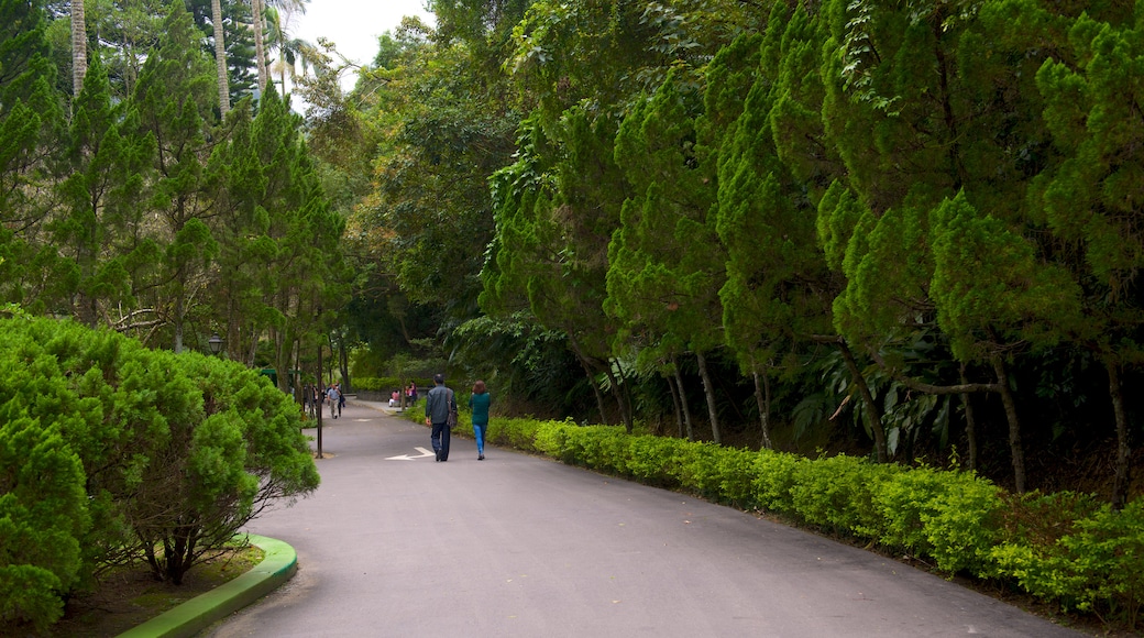 Mausoleo de Cihu y Cihu ofreciendo un parque