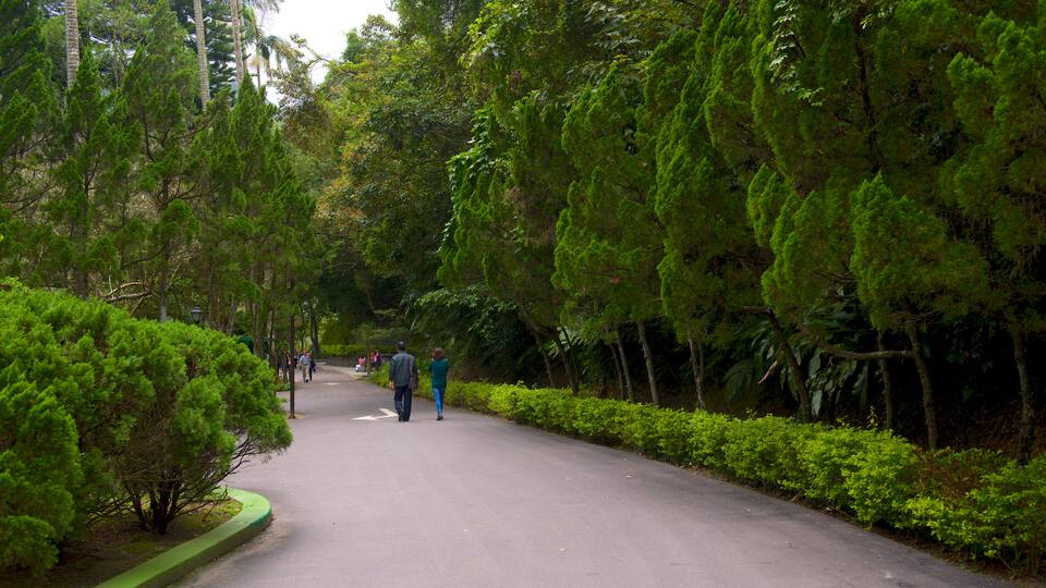 Mausoléu de Cihu e Cihu caracterizando um jardim
