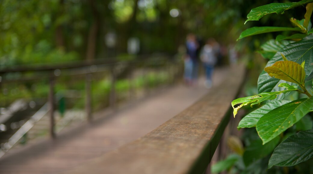 慈湖及慈湖陵寢 呈现出 公園