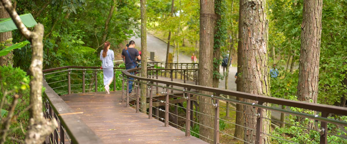 Cihu and Cihu Mausoleum featuring a garden