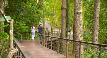 Mausoléu de Cihu e Cihu mostrando um parque