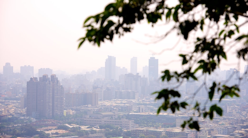 柴山自然公園 呈现出 城市