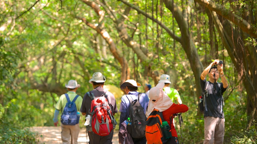 Caishan Natural Park showing a park as well as a small group of people