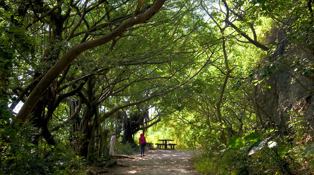 Caishan Natural Park
